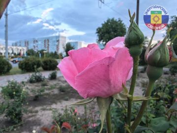 Доброе утро, друзья. Рабочая неделя начинается с позитива: свет в домах, вода в кранах, солнце за окном