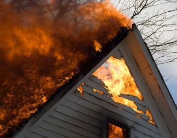Финал нашумевшей истории. В июле 2025 года жительница Михайловского муниципального округа совершила попытку убить своего гражданского мужа, с которым она прожила 14 лет