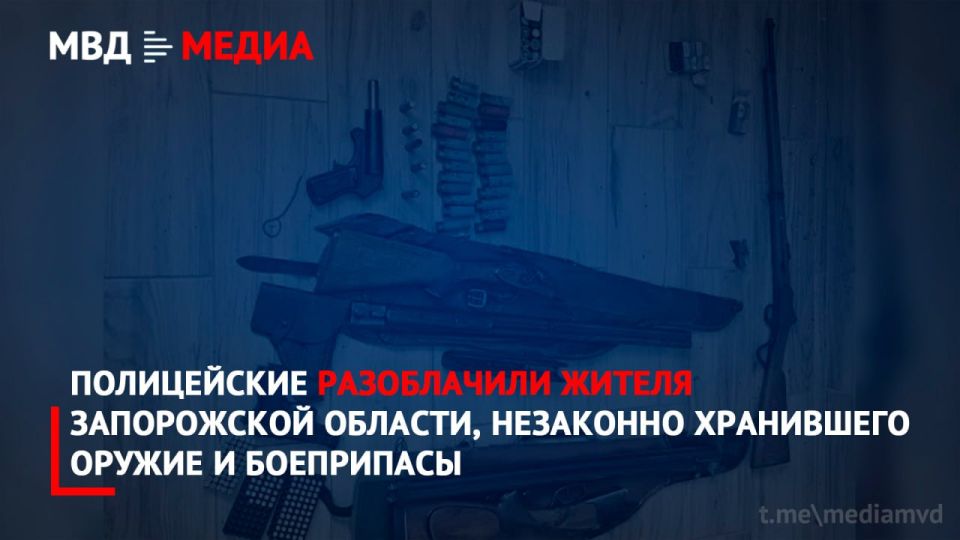 Полицейские разоблачили жителя Запорожской области, незаконно хранившего оружие и боеприпасы