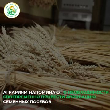Апробация проводится для определения сортовой чистоты посевов, а также оценки их состояния – засоренности, поражения болезнями и повреждения вредителями