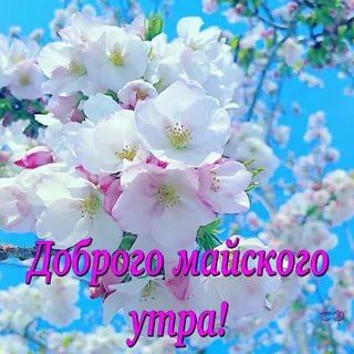 С Добрым утром Днепрорудное