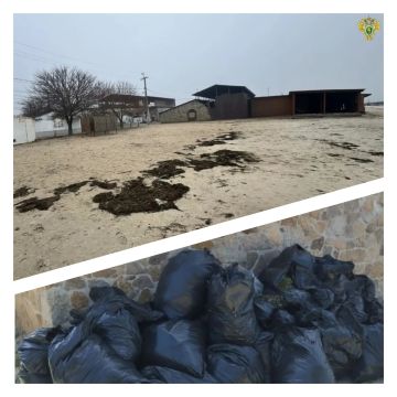 В результате вмешательства природоохранной прокуратуры в границах водоохранной зоны Азовского моря ликвидирована несанкционированная свалка отходов