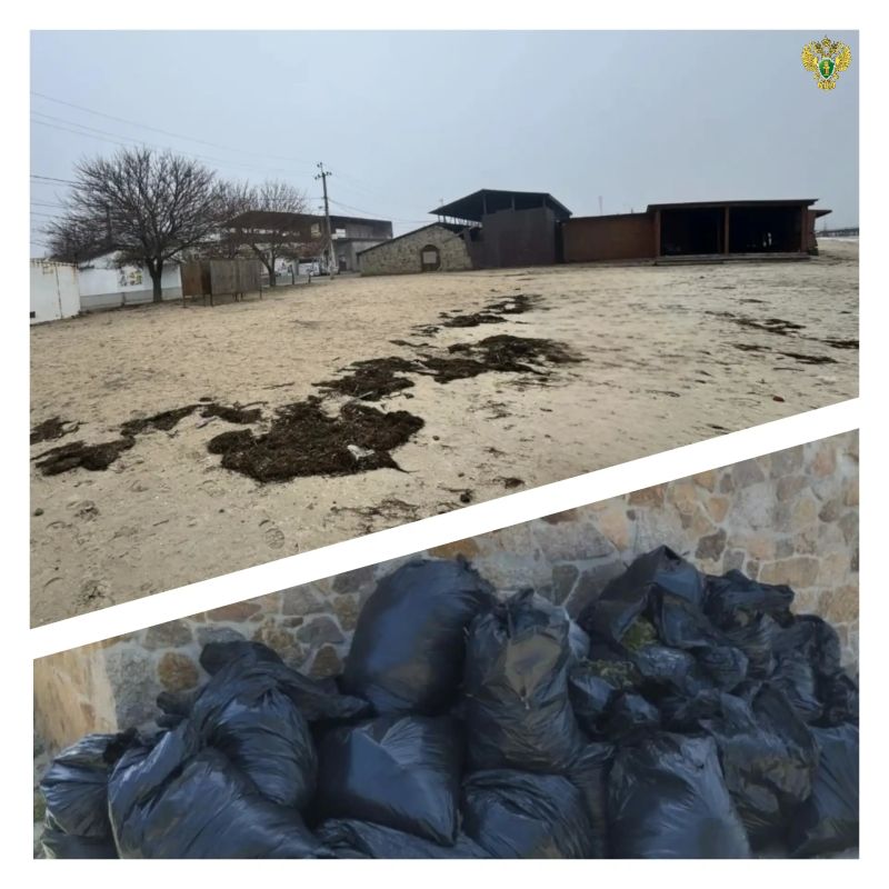 В результате вмешательства природоохранной прокуратуры в границах водоохранной зоны Азовского моря ликвидирована несанкционированная свалка отходов