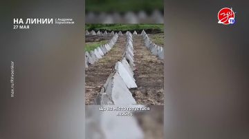 ��������� ���������� �� ������ ������ � ������� ��������� � ��������� ��� ����� | 27 ���