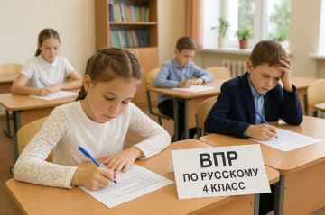 Юлия Сажаева: Рособрнадзор утвердил график проведения ВПР в школах