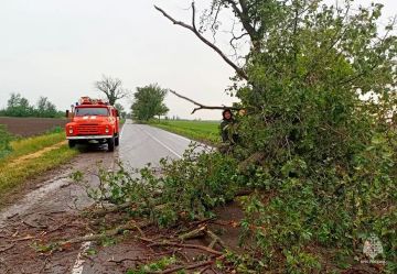 ��������� ��� ������ ������������� ����������� �������� � ����������� �������
