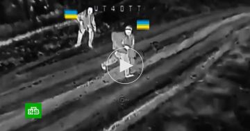 ����� ���� �����������: ���������� ������� � ���������� ���������� ������� ���