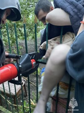 Спасатели помогли девочке в Приморске, застрявшей в заборе и получившей серьезную травму