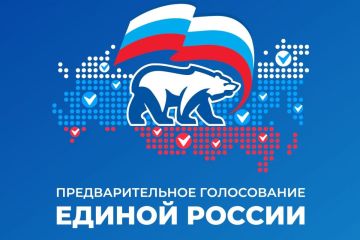 Помощь в предварительном голосовании для жителей Васильевского округа