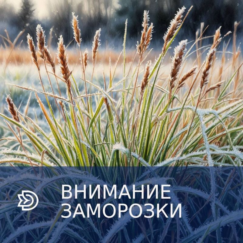 Заморозки до -2,0° ожидаются в Запорожской области