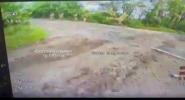 ��� ��� �������!. ��� "����" �������� ������ ��������� �� ����� �� �������� ������������ ������