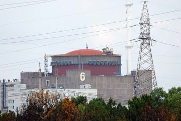 ������� ������, ��� ��� ������� ��������� ��������� �������� ������������ ����������� ���