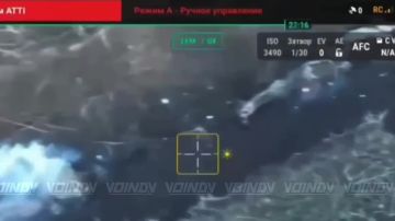 �������� �����: ���������� ��������� ����� ������ ������������ ���������� � ����������� �������