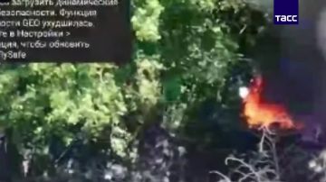 Ударные дроны пресекли снабжение передовых позиций ВСУ в Запорожской области