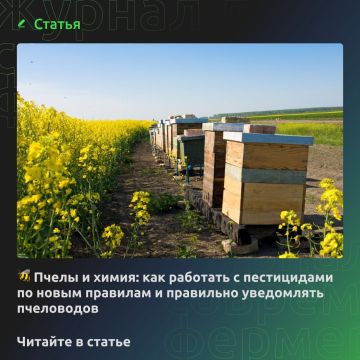 Пчелы и химия: как работать с пестицидами по новым правилам и правильно уведомлять пчеловодов