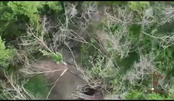 � ����������� ������� ��������� ���� ���������� ���������� 120-�� ������ ���