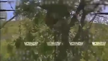 ������ ���������� ���� 14 ����������� ������� �������� ����������� ����� "������" �� ����������� ����� ���� ���������� �� ����������� �����������