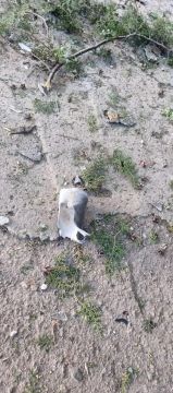 �������� �����: � ���� ������ ����� ������� ������� �� �����
