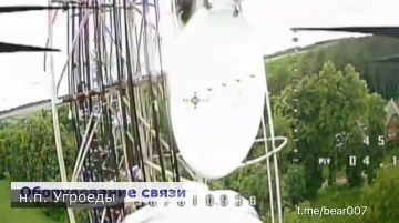 ЭКСКЛЮЗИВ: Отряд «Анвар» продолжает выполнять боевые задачи