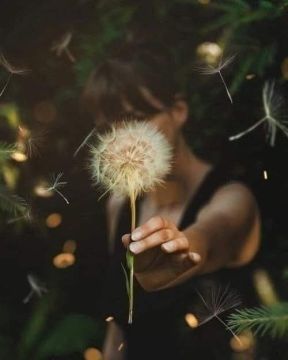 Друзья!. У нас есть несколько идей, как провести время: Читать книгу – погрузитесь в увлекательный мир литературы