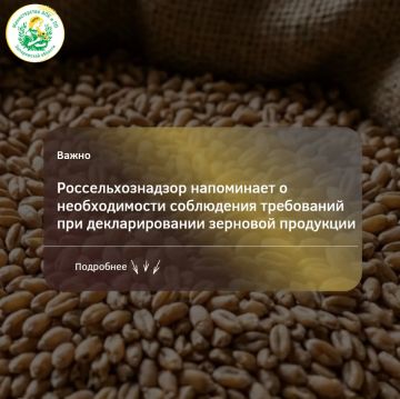 � ������ 2026 ���� � ����������� ������� ����������� �����-������������� ���������������� ���������� ����������������� ��������� 668 ���������� � ������������ �� 882,1 ���