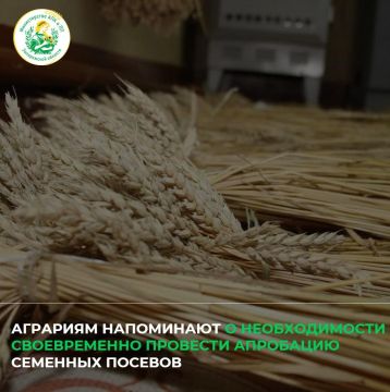 Аграриям напоминают о необходимости своевременно провести апробацию семенных посевов