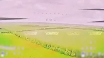 ��� ������ ������� ���������� � ������ ������� ����������� �������