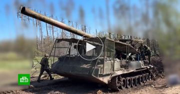 ���������� ����� ����� �� ���������������� ������� ���������� ����������� ���