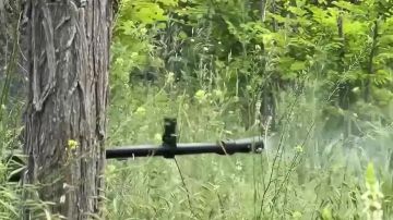 �������� ����� �������� ����������� �������� �: �� ����������������� ������ � ����������� ������� ����������� ��� �� ���������