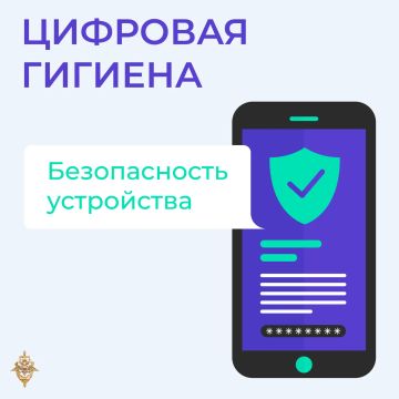 � 2025 ���� ����� �������, ���������� �����������, ������ 29,3 ���� ������