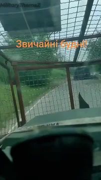 "������ ������" � ������������ ������������� ��� �� ���������������� �����������