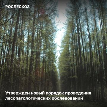 � 1 �������� 2026 ���� �������� � ���� ����� ������� ���������� ������������������ ������������