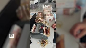 Владимир Рогов: Задержаны 24 участника банды, причастной к деятельности онлайн-казино