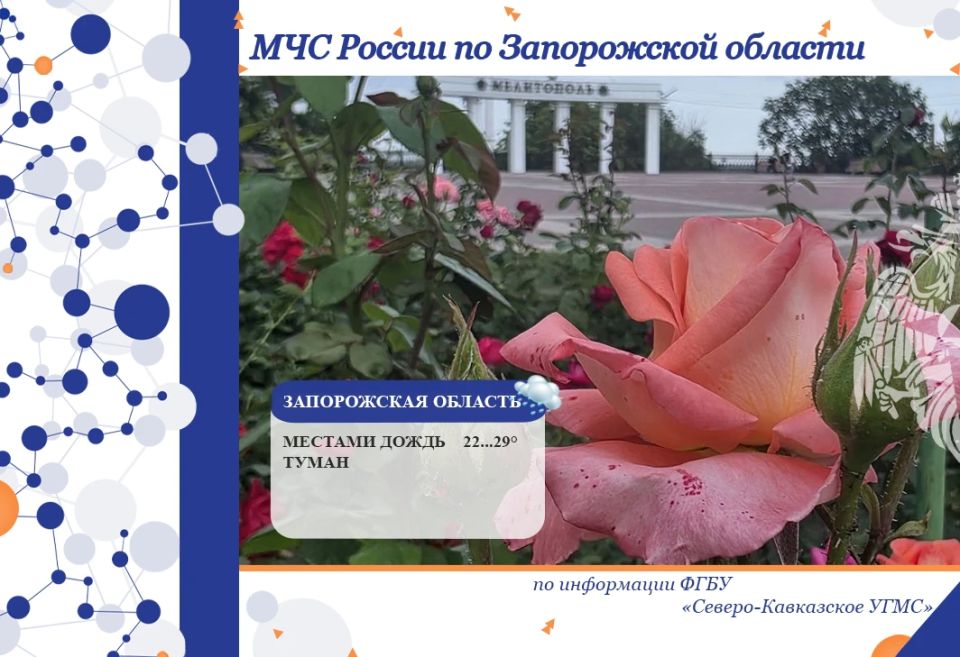 С 8 на 9 июня на территории региона ожидается: