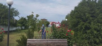 08.06.2026 Сотрудники Кирилловского Дома культуры проводят работы по благоустройству прилегающей территории