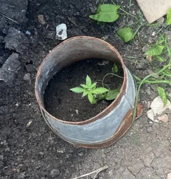 � ���������� ������ ����������� �������� ���� ����������� �������� ����������