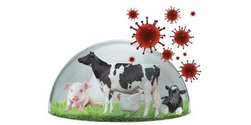 Уважаемые владельцы животных и руководители животноводческих предприятий Запорожской области!