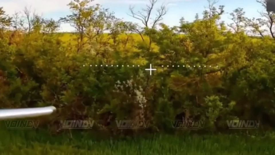 Зачистка ВСУшных нор в Запорожской области
