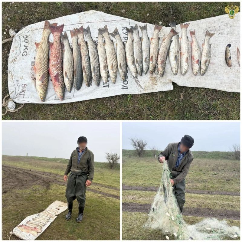 Жителя Приазовского района будут судить за вылов рыбы в местах нереста