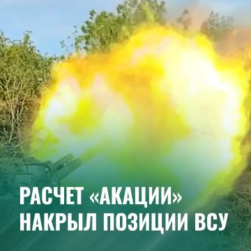 Минобороны России: Артиллеристы уничтожили опорники и личный состав противника в Запорожской области