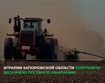 Яровой сев в регионе завершён в полном объёме