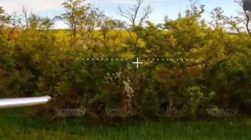 Зачистка ВСУшных нор в Запорожской области