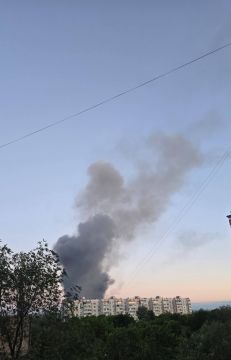 Утренние прилеты Гераней по Харькову