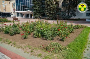 Администрация городского округа Мелитополь продолжает благоустройство общественных пространств