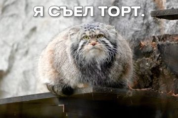 � ������ ������� �� ����������� �������� ���� ��������