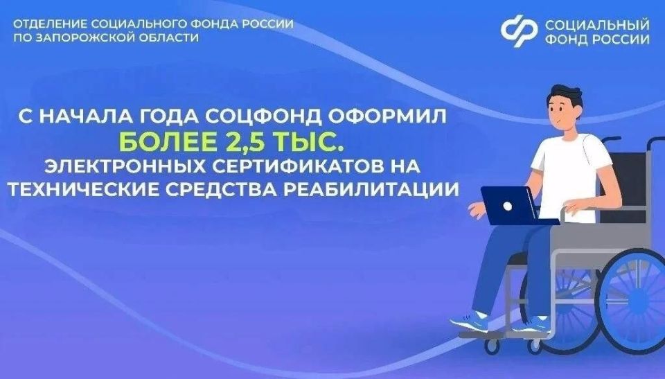 Что можно купить с помощью электронного сертификата