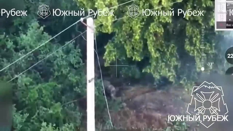 Расчёты БПЛА Южной группировки войск уничтожили боевиков ВСУ