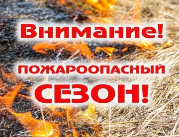 В Запорожской области с 1 апреля начался пожароопасный сезон