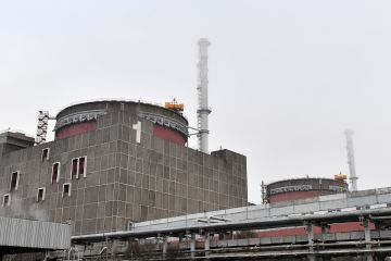 НА ЗАЭС более двух суток отсутствует электроснабжение – Яшина