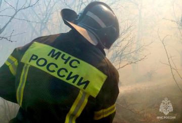 Оперативная информация за сутки